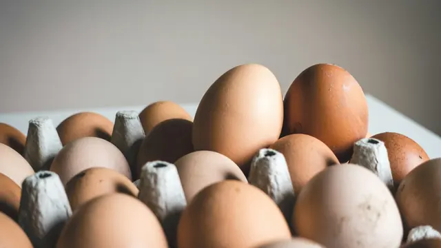 Huevos morenos en su cartón